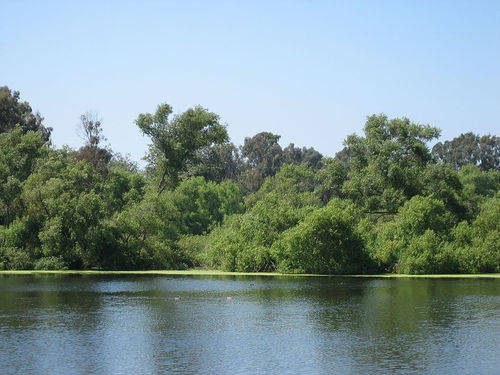 Park lake — Huntington Beach city facilities